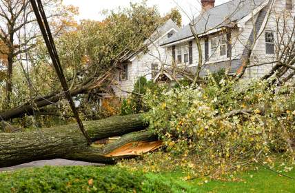 Storm damage restoration in Addison by Kirk's 5 Star